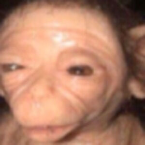 Meet your Posher, Ruby